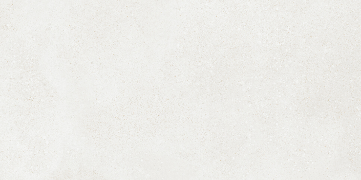 Betonico, WADVK790, obkládačka, 30 x 60 cm, bílošedá
