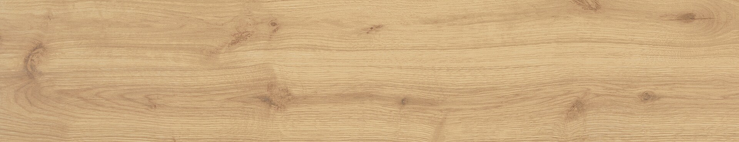 Algord, CAH4ALGDBDHA, dlaždice, 23x120, Beige, mat