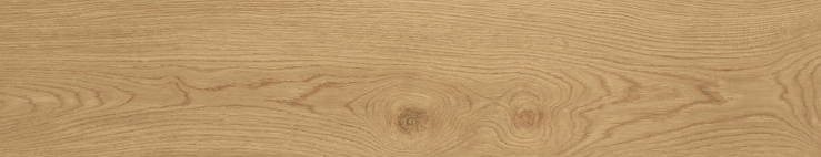 Algord, CAH4ALGDQDHA, dlaždice, 23x120, Natural, mat