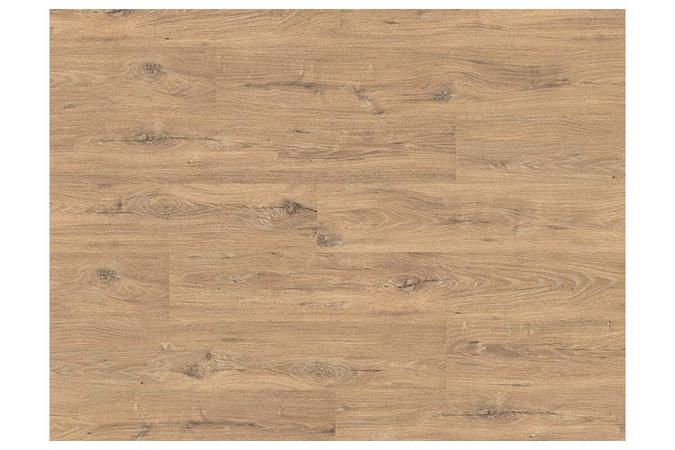 E-motion 2021 8/32 EPL018 La Manche Eiche Classic Clic it