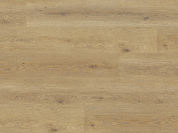 Experto LVT 55 Dub Calle