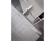 zlab_zebra-03.jpg