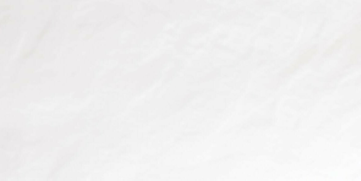 Color One, WAGV4104, obkládačka, 30 x 60 cm, bílá