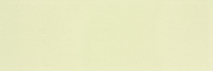 Porto, WATVE025, obkládačka, 20 x 60 cm, zelená